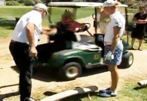 golf cart boss